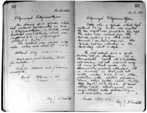 Roy Plunkett'in Laboratuar Defteri